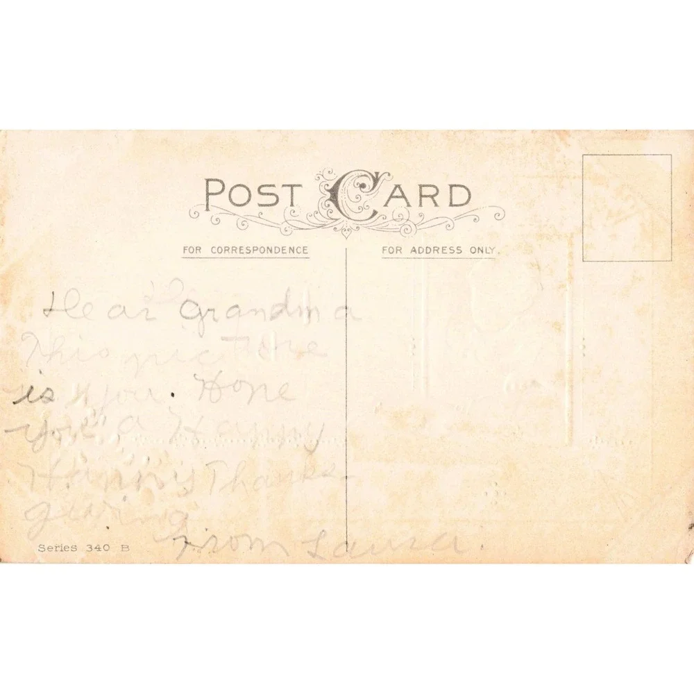 Vintage Thanksgiving Postcard Embossed Series 340 B Turkey Dinner Grandmother VG